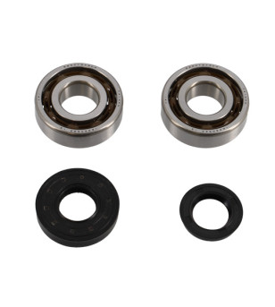 ROULEMENT VILO + JTS SPI SCOOTER ADAPT. BOOSTER/NITRO/SR50/STUNT/CPI TPI C4 POLYAMIDE