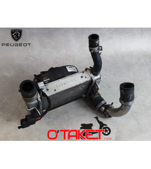 Radiateur d'échangeur d'air + Ventilateur Satelis Compressor origine PEUGEOT 125