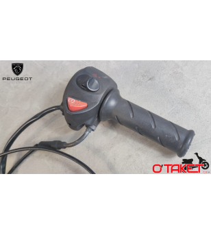 Pognée de gaz complète Satelis/Satelis Compressor/Geopolis origine PEUGEOT 125/250 4T