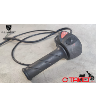 Pognée de gaz complète Satelis/Satelis Compressor/Geopolis origine PEUGEOT 125/250 4T Accueil sur le site du spécialiste des ...