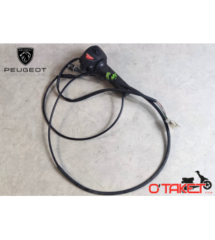 Pognée de gaz complète Satelis/Satelis Compressor/Geopolis origine PEUGEOT 125/250 4T Accueil sur le site du spécialiste des ...