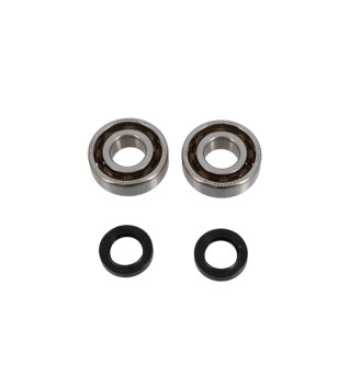 ROULEMENT VILO + JTS SPI SCOOTER ADAPT. LUDIX/SPEEDFIGHT 3/VIVACITY 3/KISBEE C4 POLYAMIDE