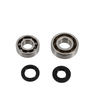 ROULEMENT VILO + JTS SPI CYCLO ADAPT. PEUGEOT 103 - TPI C4 6203 ET 6204 CAGE POLYAMIDE