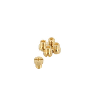 GICLEUR PHBN/PHVA  85          (DIAM. 6)  (SACHET DE 5 PCS)