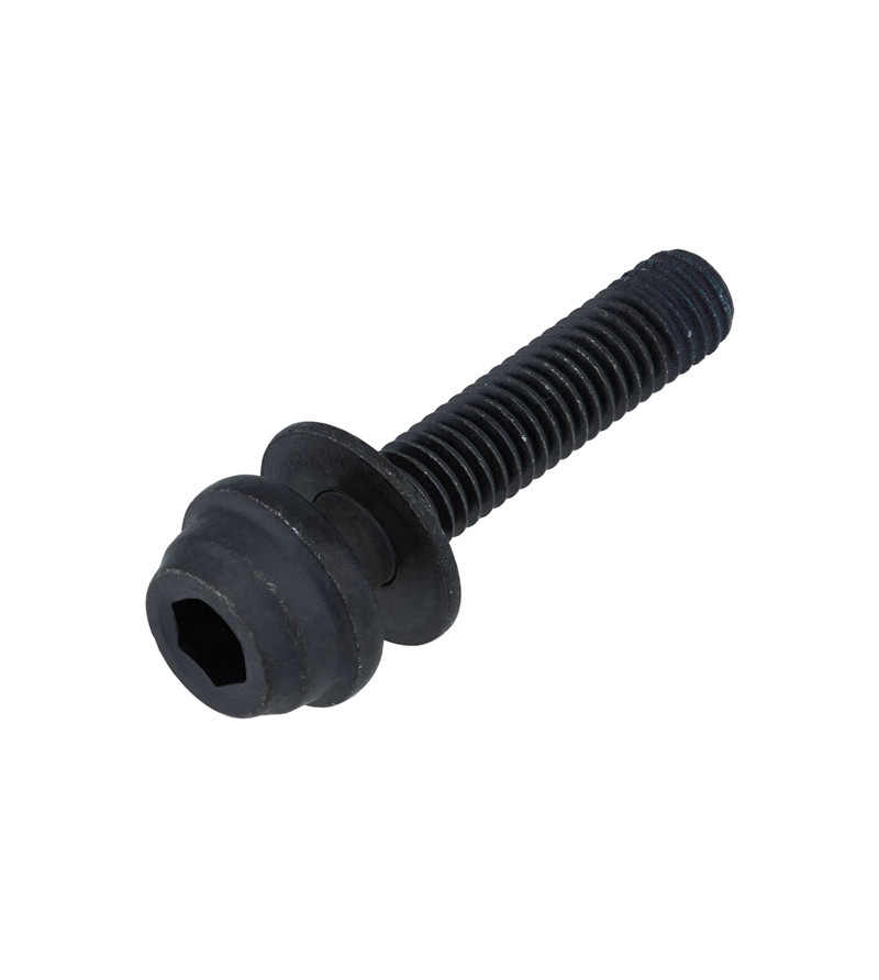 VIS POUR FREIN DISQUE ROUTE SHIMANO FLAT MOUNT 25MM (VENDU A L'UNITE)