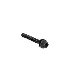 VIS POUR FREIN DISQUE ROUTE SHIMANO FLAT MOUNT 30MM (VENDU A L'UNITE)