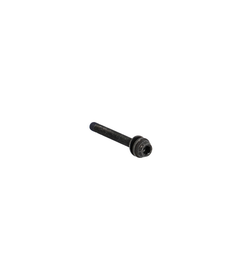 VIS POUR FREIN DISQUE ROUTE SHIMANO FLAT MOUNT 30MM (VENDU A L'UNITE)