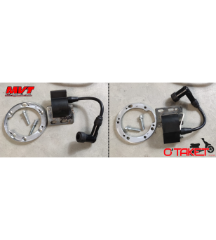 Allumage MVT Digital Direct 12 pour moteur AM6 Minarelli (sans batterie) Accueil sur le site du spécialiste des deux roues O-...
