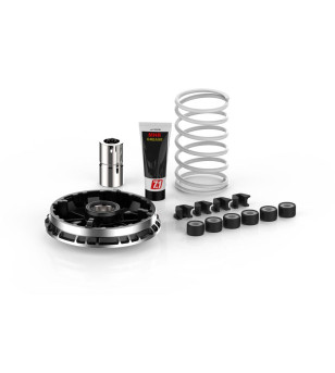 VARIATEUR MAXI SCOOTER MALOSSI MULTIVAR ADAPT. BMW C400 X GT 2019- VOGE SR4 2023-