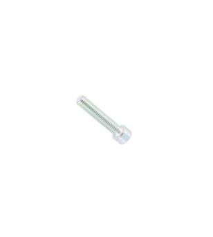 VIS CHC PONTET GUIDON OEM RIEJU MRT (0/000.460.0352) M8 X 40 (X1)
