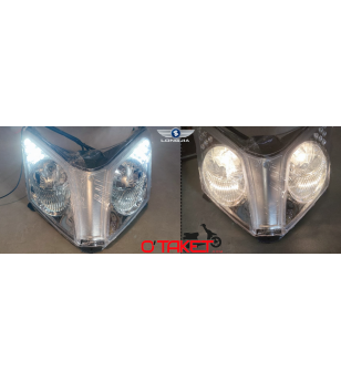 Optique avant pour Grido TNT MOTOR Accueil sur le site du spécialiste des deux roues O-TAKET.COM