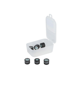 ROULEAU / GALET SCOOTER POLINI 16X13 6,3G.