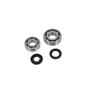 ROULEMENT VILO + JTS SPI CYCLO ADAPT. PEUGEOT 103 - TPI 6203 C4 ET 6204 C4 CAGE ACIER
