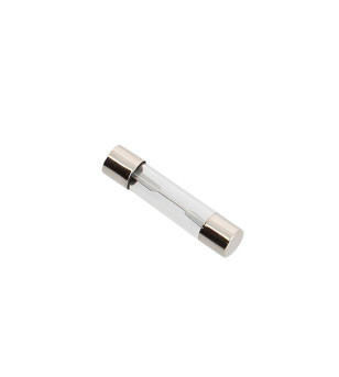 FUSIBLE ROND EN VERRE 20 AMPERES FLOSSER  6.3 X 30 MM (X10)