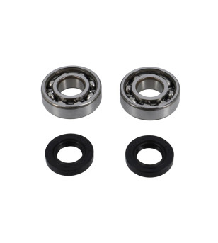 ROULEMENT VILO + JTS SPI MECABOITE ADAPT. DERBI EURO2/EURO3/EURO4 - 6204 C4 SKF CAGE ACIER