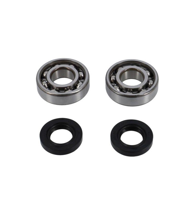 ROULEMENT VILO + JTS SPI MECABOITE ADAPT. DERBI EURO2/EURO3/EURO4 - 6204 C4 SKF CAGE ACIER