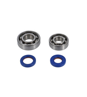 ROULEMENT VILO + JTS SPI CYCLO POLINI ADAPT. PEUGEOT 103