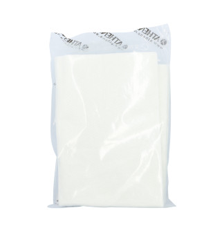 LAINE SILENCIEUX / CARTOUCHE RESISTANTE TRES HAUTE TEMPERATURE 300x300X10 (SACHET)