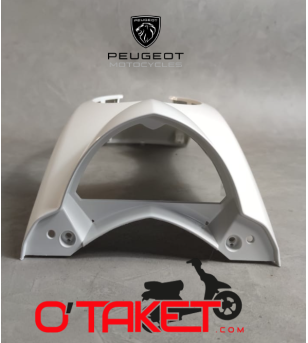 Face avant Ludix origine PEUGEOT Accueil sur le site du spécialiste des deux roues O-TAKET.COM