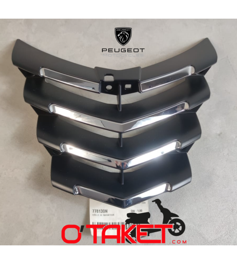 Grille de face avant Citystar origine PEUGEOT Accueil sur le site du spécialiste des deux roues O-TAKET.COM