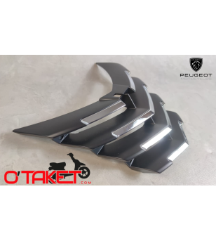 Grille de face avant Citystar origine PEUGEOT