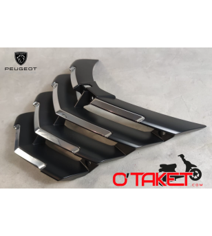 Grille de face avant Citystar origine PEUGEOT Accueil sur le site du spécialiste des deux roues O-TAKET.COM