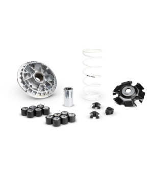 VARIATEUR MAXI SCOOTER MALOSSI MULTIVAR 2000 ADAPT. 125 HONDA PCX EURO5/5+