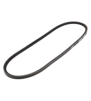 COURROIE CYCLO DAYCO POWER ADAPT. PIAGGIO CIAO PX SANS VARIATEUR (955X9,5)