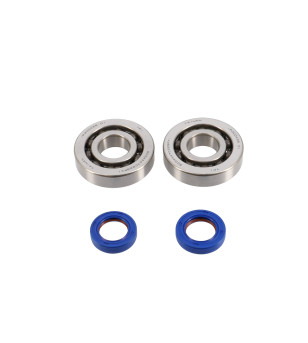 ROULEMENT VILO + JTS SPI SCOOTER POLINI FOR RACE ADAPT. PIAGGIO ZIP 2T/TYPHOON/NRG/GILERA