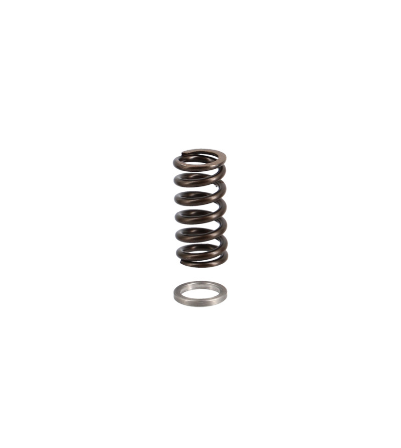 RESSORT DISQUE EMBRAYAGE MECABOITE POLINI RENFORCE ADAPT. AM6 (X4)