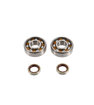ROULEMENT VILO + JTS SPI CYCLO POLINI ORIGINAL ADAPT. MBK 51 UNIQUEMENT POUR CARTER POLINI