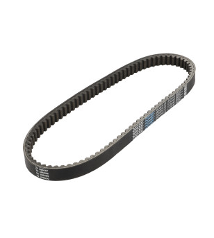 COURROIE MAXI SCOOTER DAYCO POWER ADAPT. HONDA 125 PANTHON 2003-2005 (918X22,3X10)