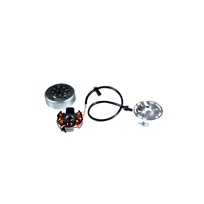 ALLUMAGE MOTO OEM DERBI SENDA EURO3 (82829R) COMPLET SANS COURONNE DE DEMARREUR 50 À BOITE sur le site du spécialiste des deu...