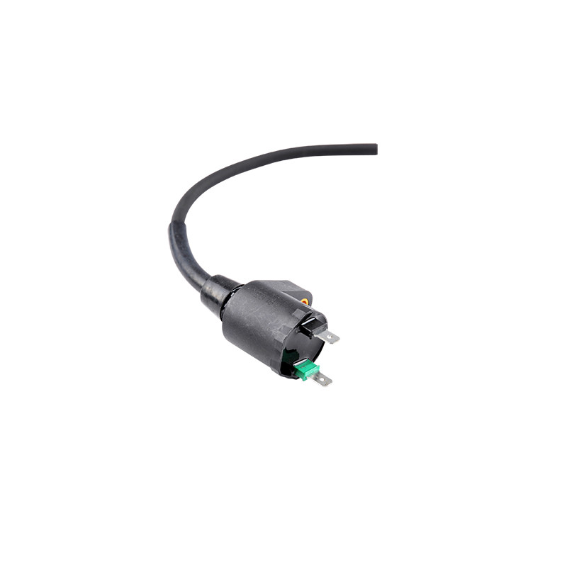 BOBINE H.T. MOTO OEM DERBI SENDA XTREME/ SMT/RCR/ RX50/SX50 2018- EURO4 (CM255206) 50 À BOITE sur le site du spécialiste des ...
