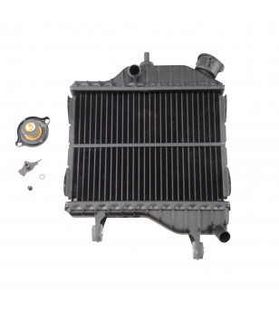 RADIATEUR MOTO MECABOITE TZR / XPOWER TOUTES ANNEES LIVRE AVEC BOUCHON (4BAE24600000)