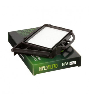 FILTRE A AIR HIFLOFILTRO HFA4203 YAMAHA 250 X-MAX (CRANKCASE AIR FILTER) 1C0,37P 2006-2013 Filtres à air sur le site du spéci...