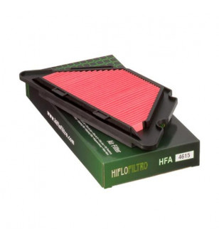 FILTRE A AIR HIFLOFILTRO HFA4615 YAMAHA 600 XJ6 DIVERSION (ABS) (36C) 2009-2015 Filtres à air sur le site du spécialiste des ...