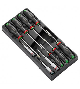 MODULE 10 TOURNEVIS PROTWIST RESISTORX FACOM (TORX) - PRIX NET