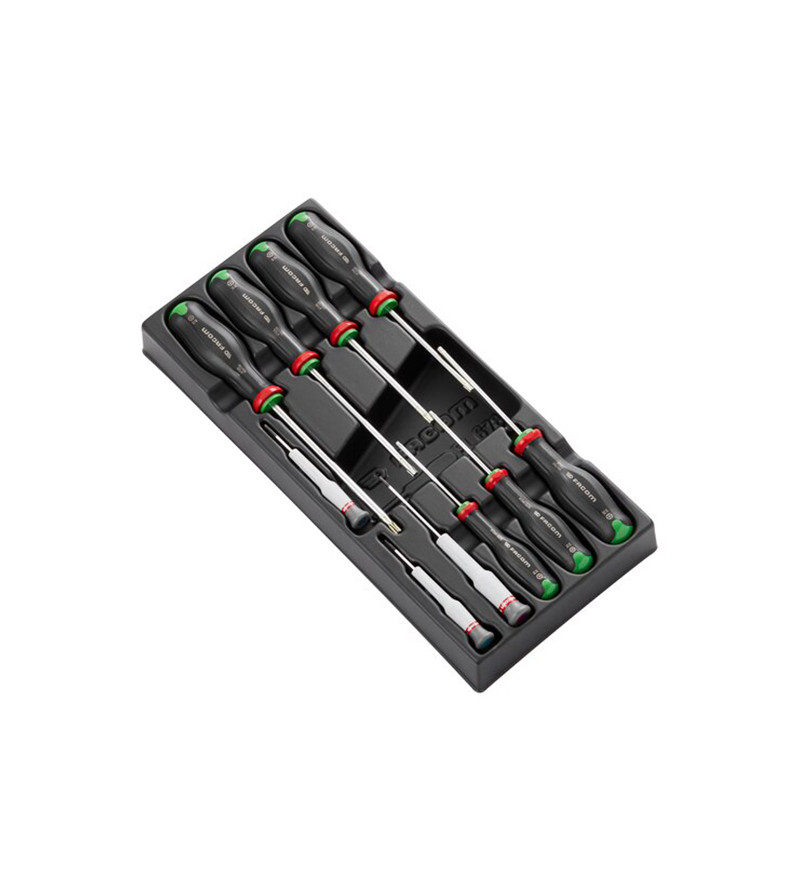 MODULE 10 TOURNEVIS PROTWIST RESISTORX FACOM (TORX) - PRIX NET