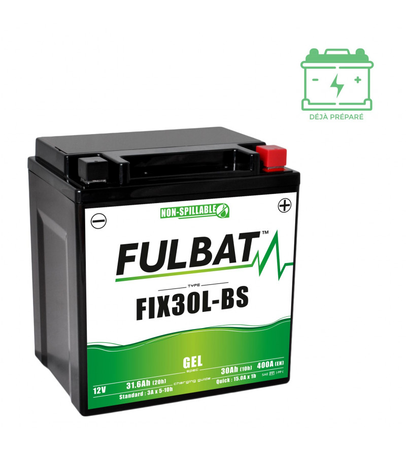 BATTERIE FIX30L-BS FULBAT 12V30AH LG165 L125 H175 - GEL ACTIVEE USINE