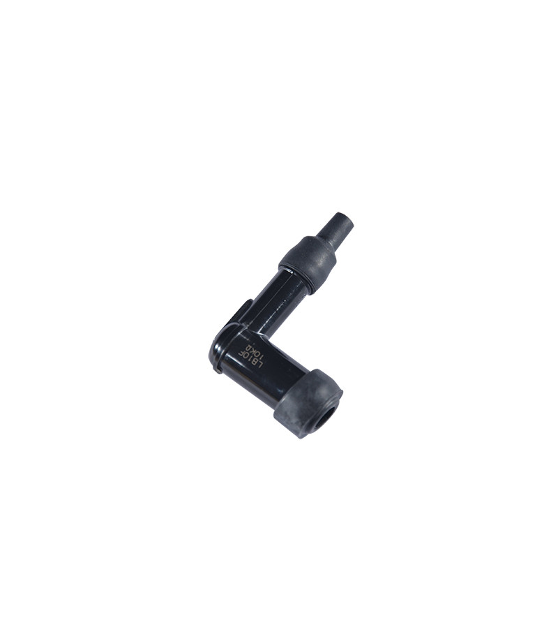 ANTIPARASITE NGK LB10F