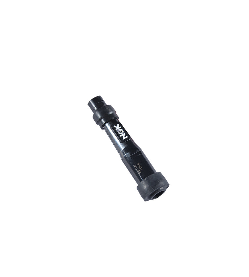 ANTIPARASITE NGK SB10F