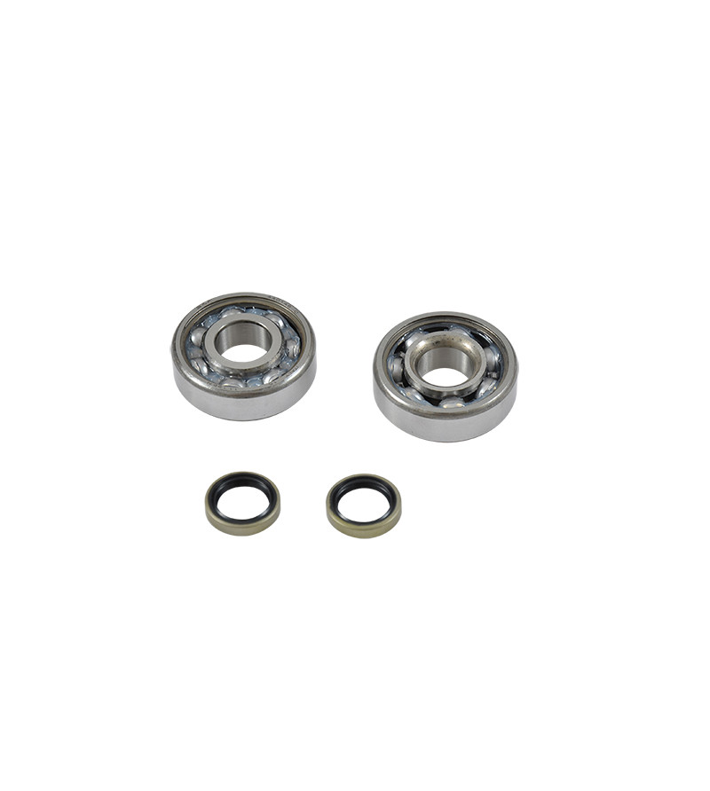 ROULEMENT VILO + JTS SPI CYCLO ADAPT. MBK 51/88/89 - 6302QR (4401466CC) C3 SKF CAGE ACIER