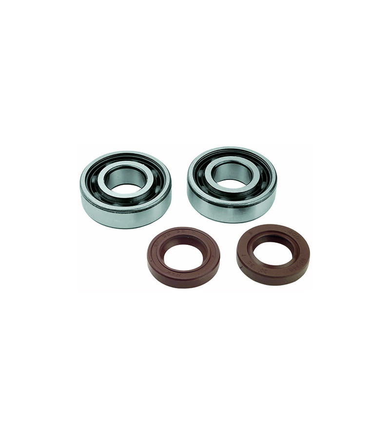 ROULEMENT VILO + JTS SPI MECABOITE ADAPT. DERBI EURO2/EURO3/EURO4 - 6204 C4 SKF CAGE POLYA