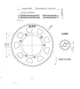 KIT CHAINE TEKNIX ADAPT. DERBI SENDA SM/R XRACE/XTREME 0610/RCR/SMT 0307 420 13X53 D105