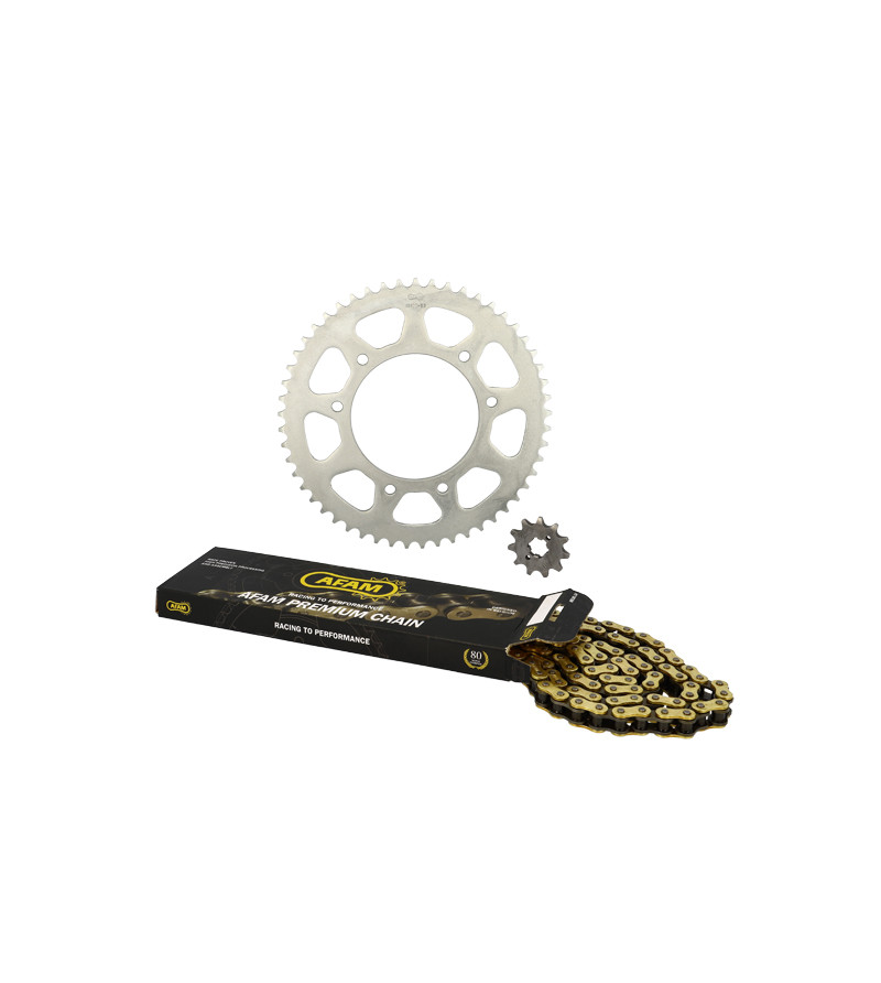 KIT CHAINE AFAM ADAPT. DERBI SENDA SM/R XRACE/XTREME 06-10/RCR/SMT 03-07 420 11X53 D105