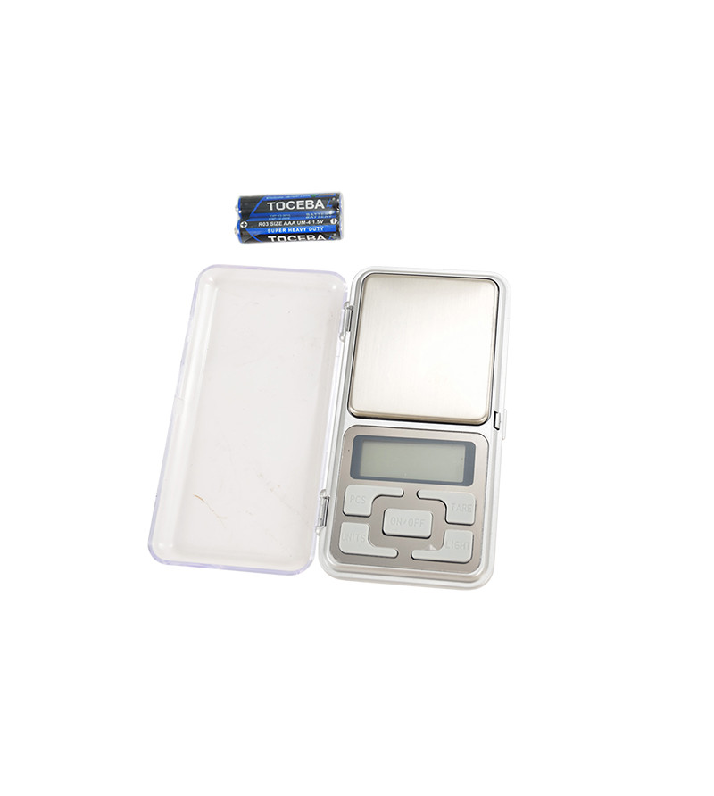 BALANCE DE PRECISION (PRECISION : 0.1 GR - JUSQU'A 500 GR)