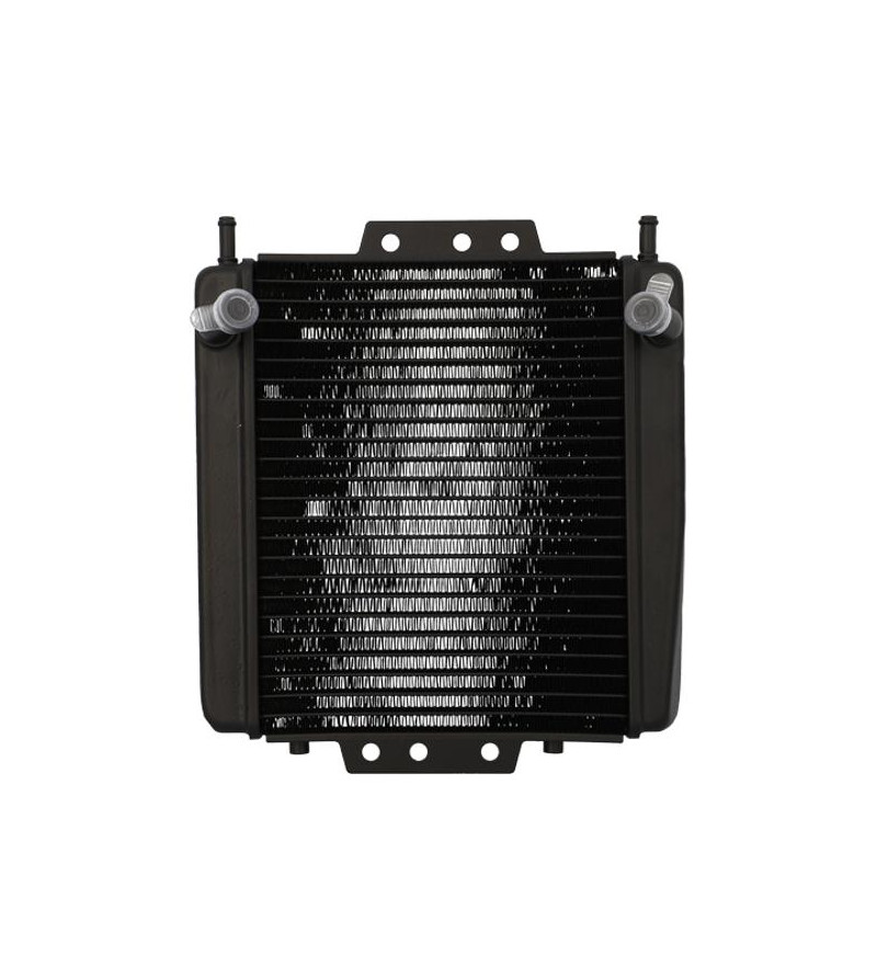 RADIATEUR MAXI SCOOTER ADAPT. 125/250/300/500 PIAGGIO MP3/500 GILERA FUOCO MAXI-SCOOTER sur le site du spécialiste des deux r...