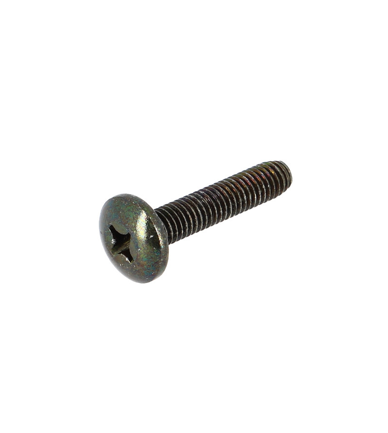 VIS OEM PIAGGIO (M6X100 LONG 30MM) 271891
