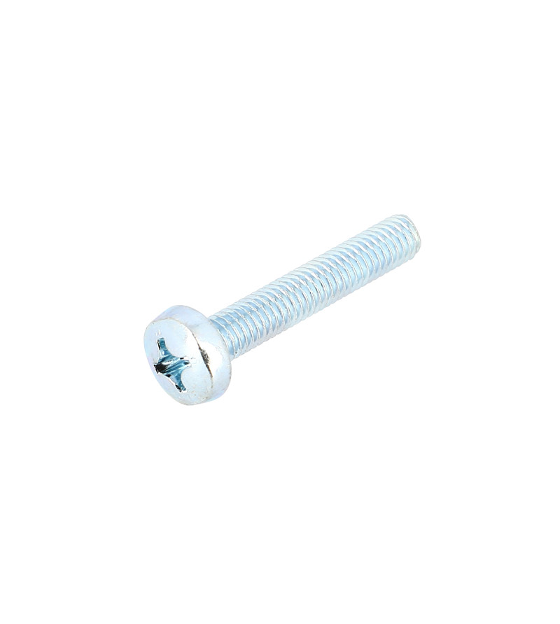 VIS OEM PIAGGIO (M6X100 LONG 35MM) 15804